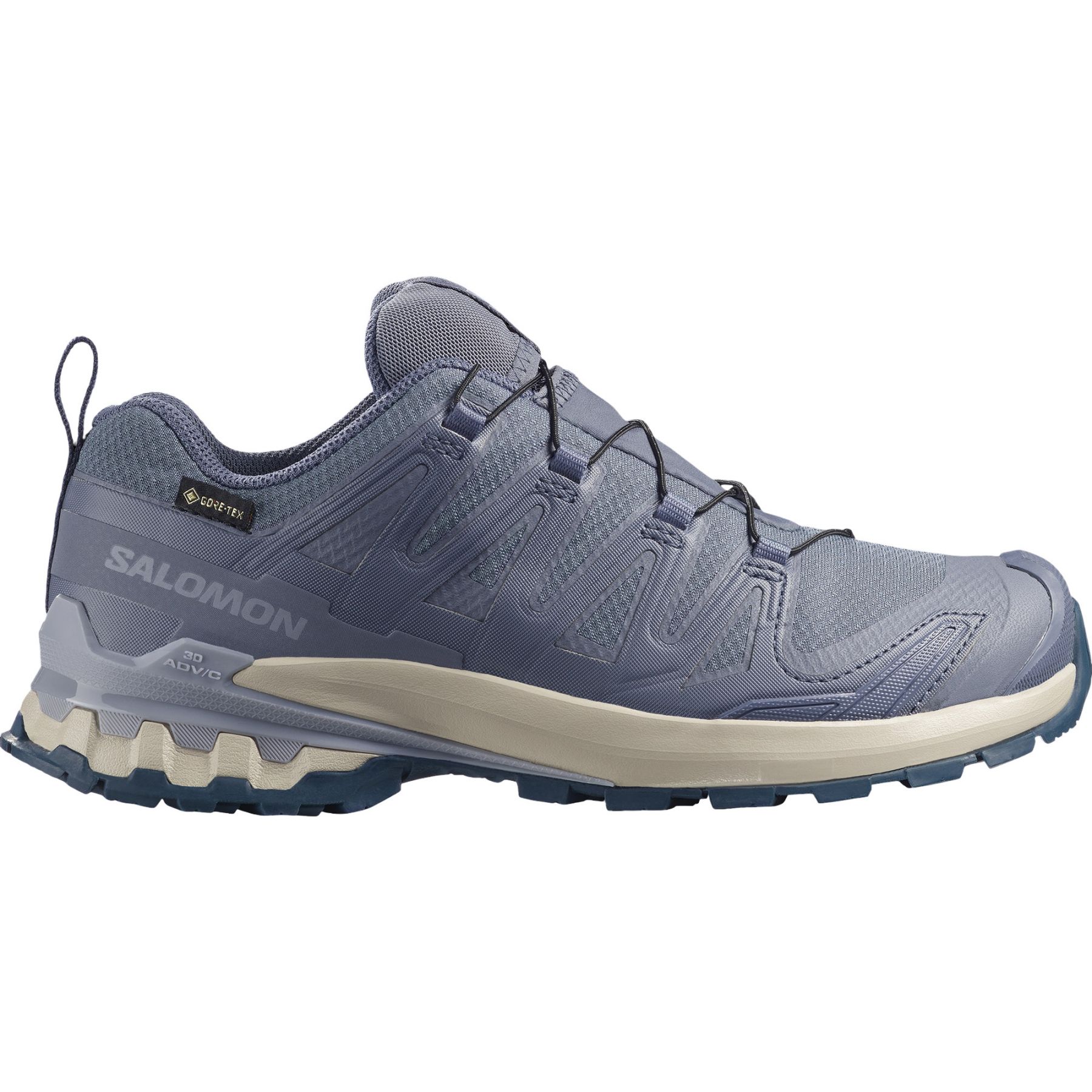 Salomon XA Pro 3D V9 GTX Womens, Grisaille / Tradewinds